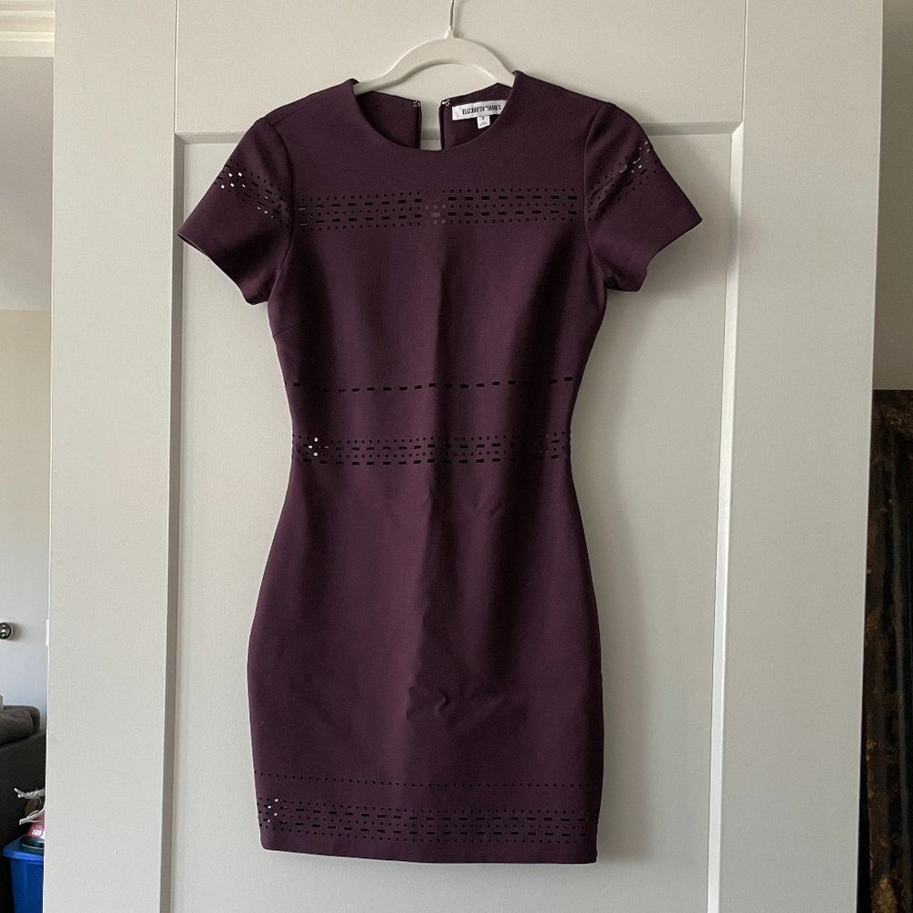 Elizabeth and James "Ari" Short Sleeve Fitted Dress, Plum, Size 2